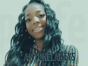 ANTONELAKEYS