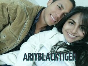 ARIYBLACKTIGER