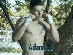 AdamBull