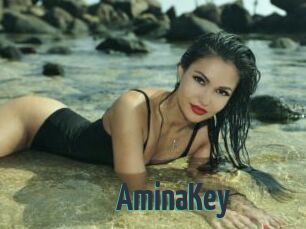 AminaKey