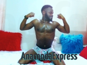 AnacondaExpress