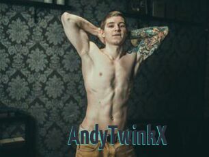 AndyTwinkX