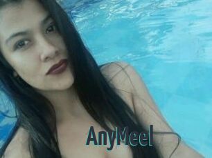 AnyMeel