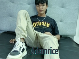 Adamrice