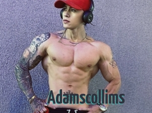 Adamscollims