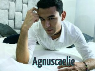 Agnuscaelie