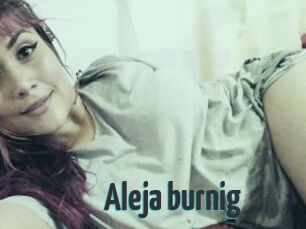 Aleja_burnig