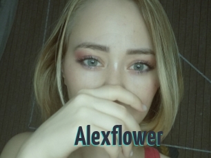 Alexflower