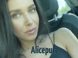 Alicepurr