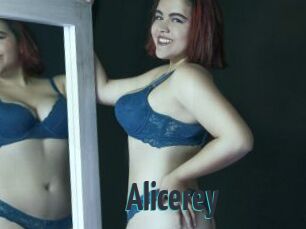 Alicerey