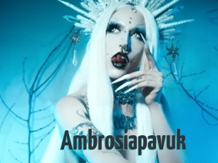 Ambrosiapavuk