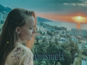 Amismett