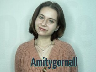 Amitygornall