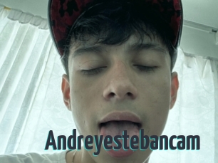 Andreyestebancam