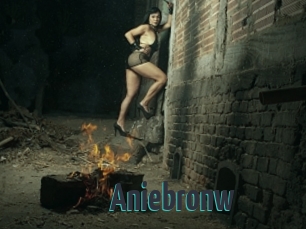 Aniebronw