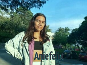 Aniefelix