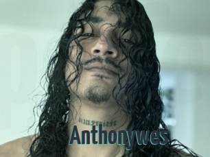 Anthonywes