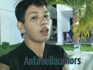 Antonellaconors