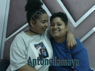 Antonellamaya