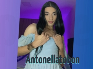 Antonellatobon