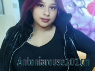 Antoniarouse101cm