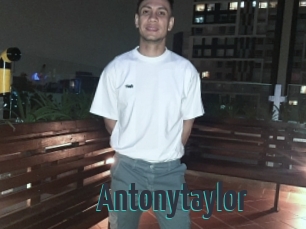 Antonytaylor