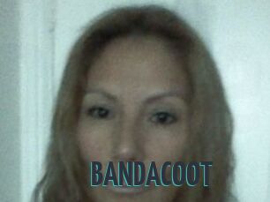 BANDACOOT