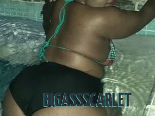 BIGASSSCARLET