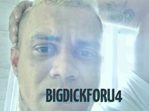 BIGDICKFORU4