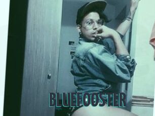 BLUEFOOSTER