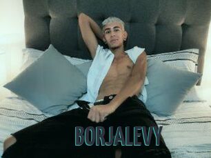 BORJALEVY