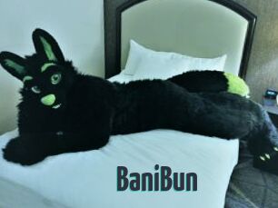 BaniBun