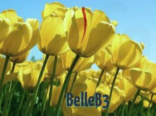 BelleB3