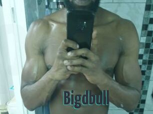 Bigdbull