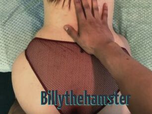 Billythehamster