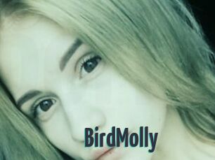 BirdMolly