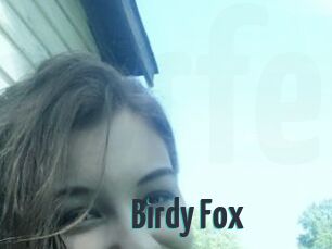 Birdy_Fox