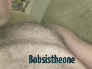 Bobsistheone