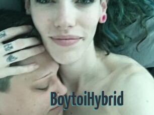 BoytoiHybrid