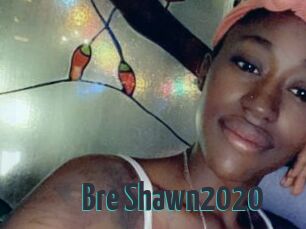 Bre_Shawn2020