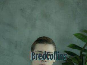 BredCollins