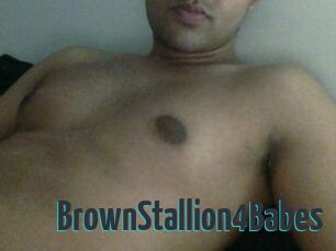 BrownStallion4Babes