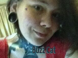 Buzz_Cat