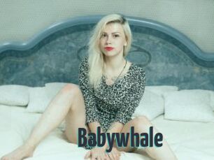 Babywhale