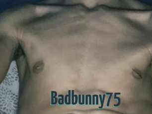 Badbunny75