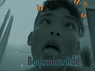 Benjaminwilde