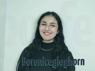 Berenicegleghorn