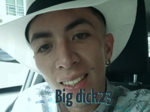 Big_dick23