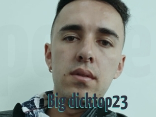 Big_dicktop23