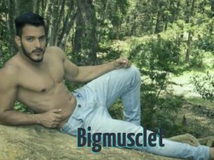 Bigmusclet